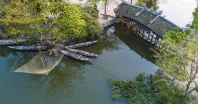 Hue Travel: 240-year-old bridge near Hue continues to enchant